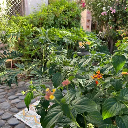 Casa Dei Limoni * 리파리